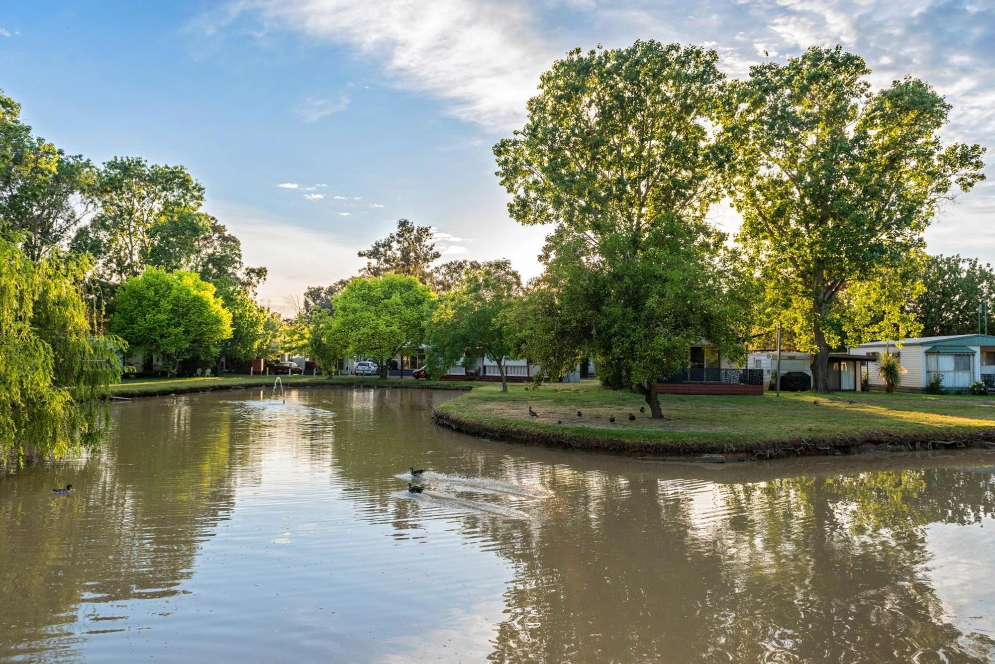 Discovery Parks - Maidens Inn Moama Exterior foto